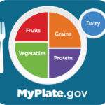 healthy nutrition, myplate, calories, how to lose weight